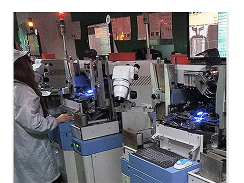 食人魚LED生產廠家